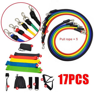 Open image in slideshow, VIP  17 Pcs/Set Latex Resistance Bands Crossfit Training Exercise Yoga - meheshin
