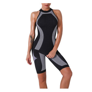 Open image in slideshow, Women Fitness Sport Yoga Suit DAIGELO Seamless Sets Long Sleeve Clothing Female Gym Running Wear - meheshin
